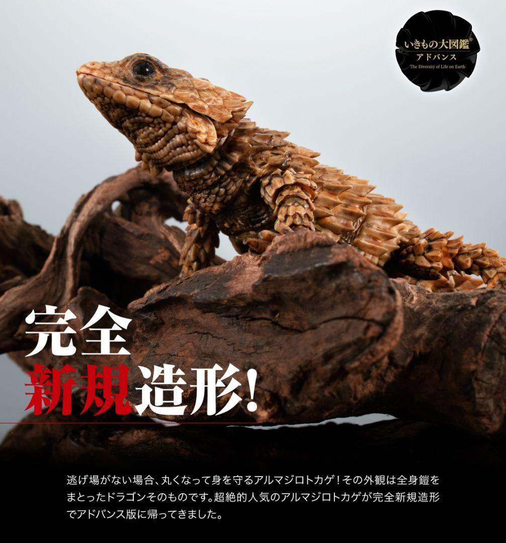 いきもの大図鑑アドバンス　アルマジロトカゲ　全４種フルコンプ　個包装　新品未開封