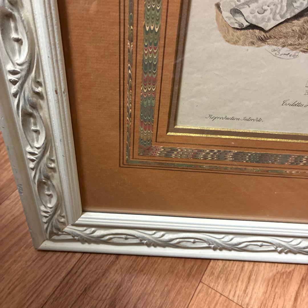 フランスアンティーク貴婦人版画 マーブル額装 最大サイズ