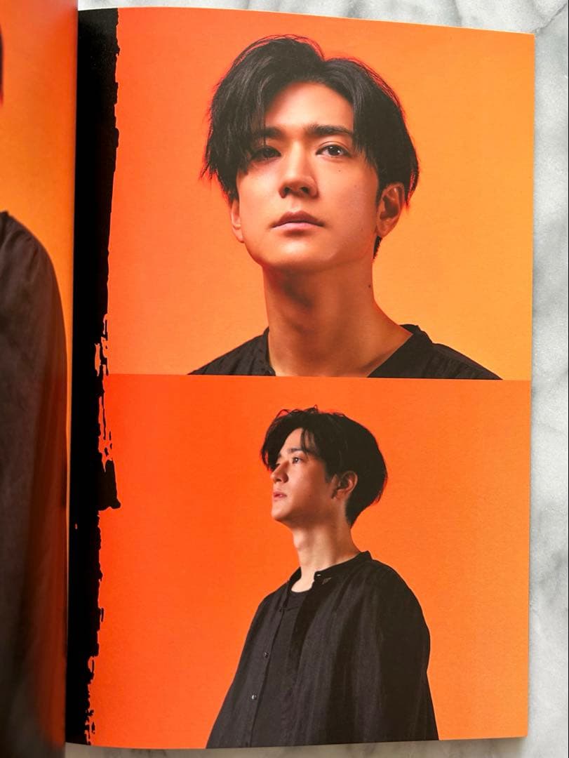 演劇/舞台 みんな鳥になって パンフレット - メルカリ