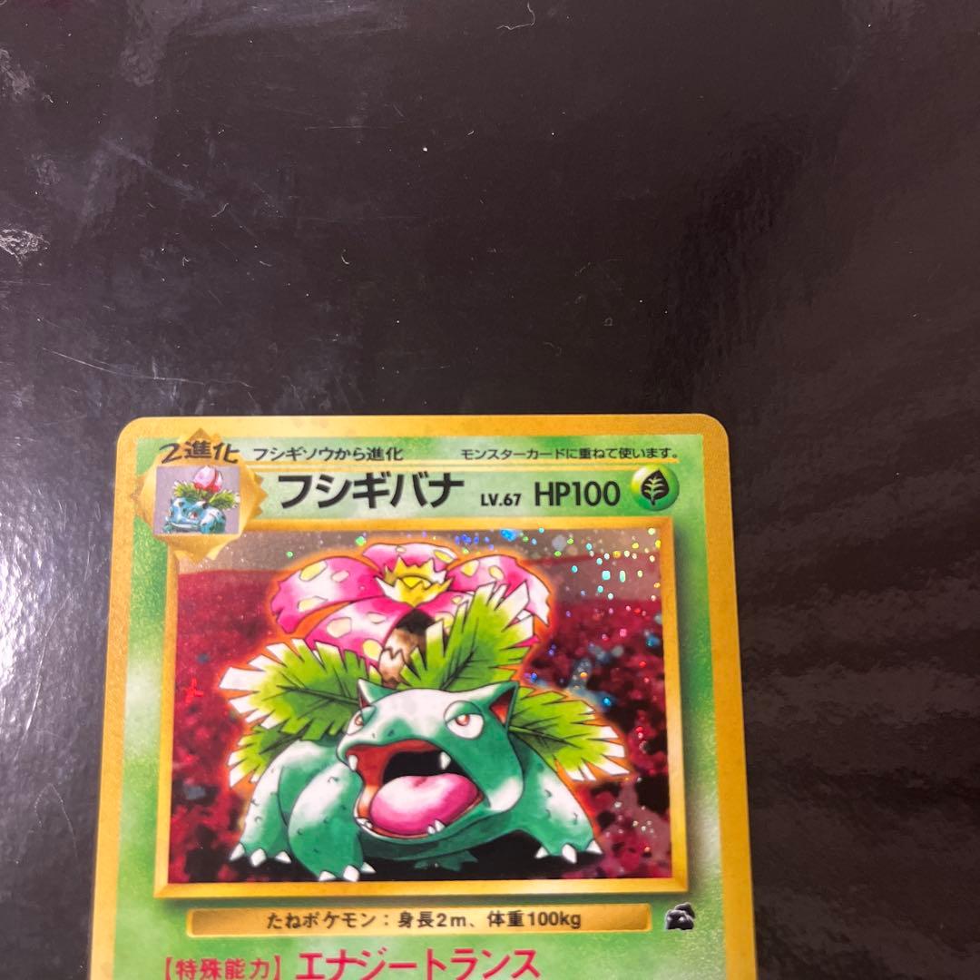 旧裏　フシギバナ