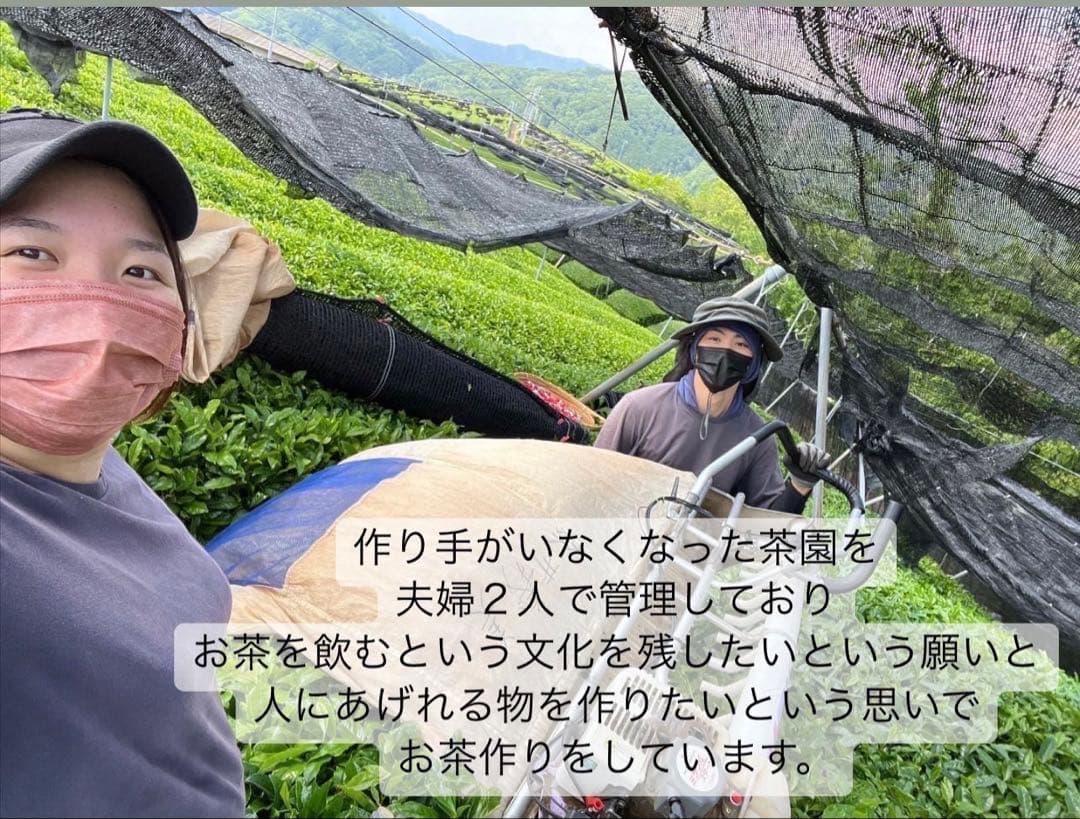 無農薬抹茶】便利な個包装スティック100本入り！溶かすだけ簡単