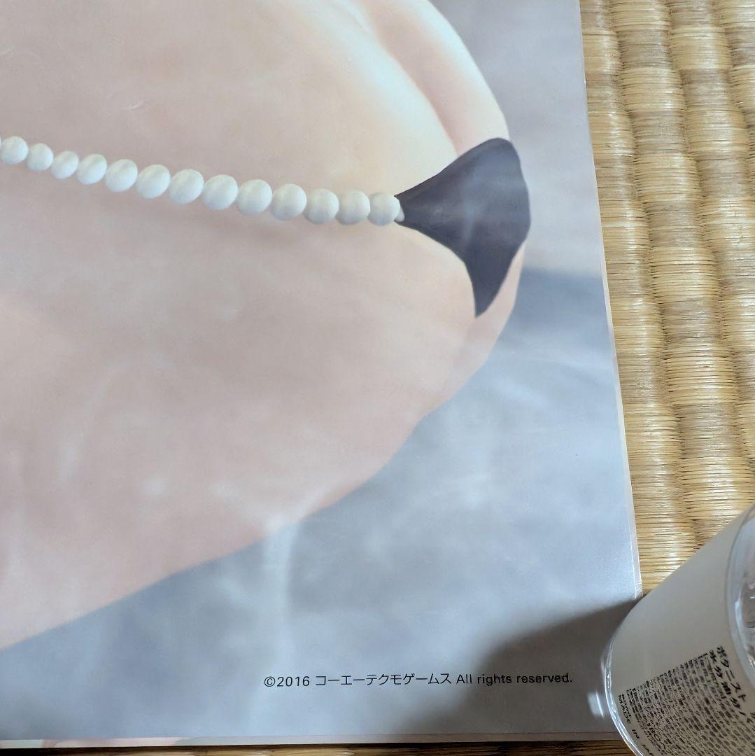 マリー・ローズ、エレナ・ダグラス B2お風呂ポスター 2枚セット DOA