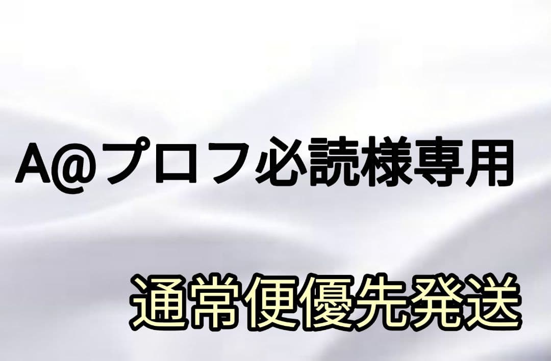 n＊＊プロフ必読 様専用ページです！ A@プロフ必読様専用ネイルチップ