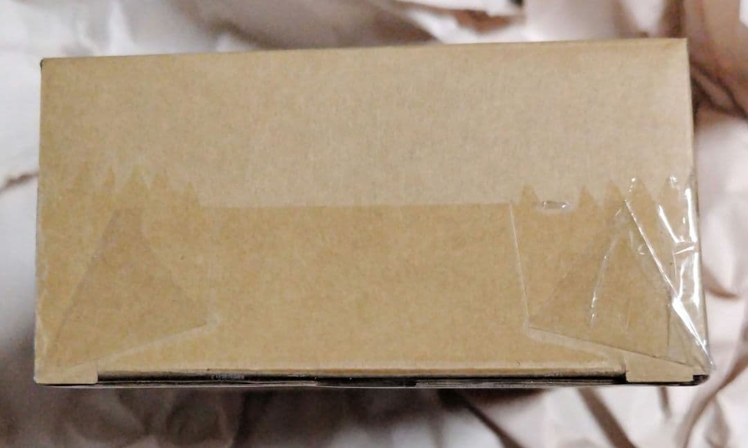 S.H.Figuarts　真骨彫製法　仮面ライダー1号（桜島Ver.）栄光の〜