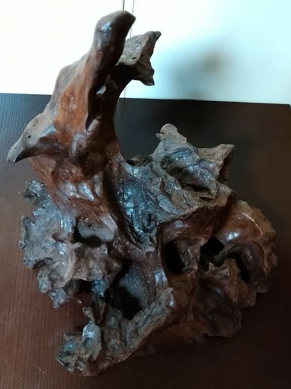 天然木 枯れ木 切り株 流木 オブジェ 床の間 飾り 希少 セール アート