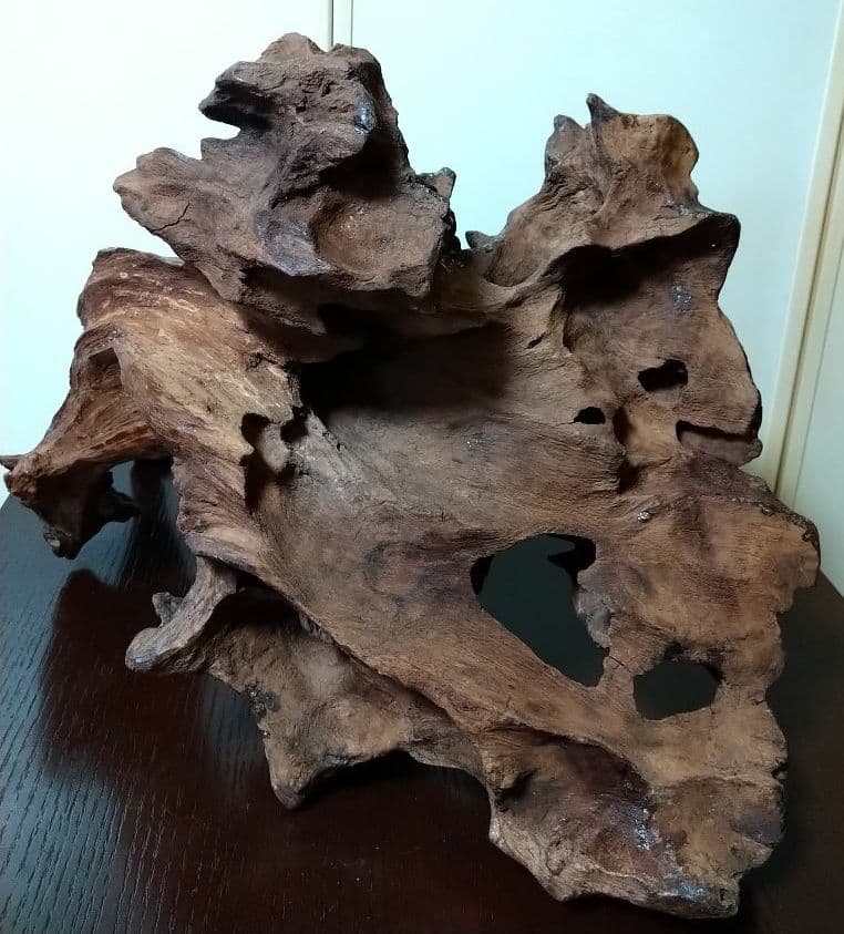 天然木 枯れ木 切り株 流木 オブジェ 床の間 飾り 希少 アート