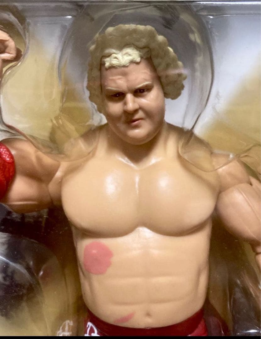 【未開封】NWA王者セット ハーリー・レイス & ダスティ・ローデス