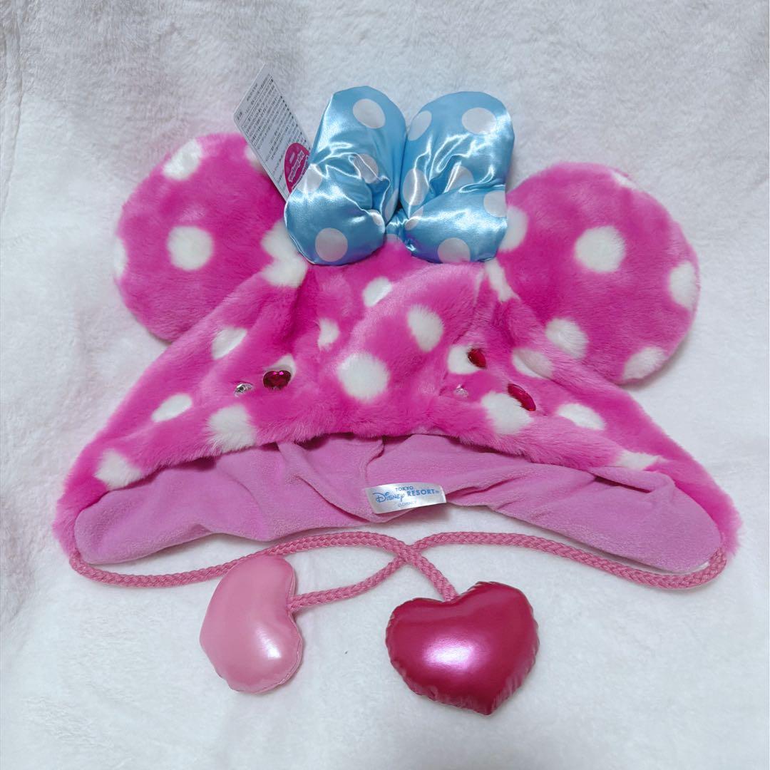 ディズニー ミニー パルパルーザ ファンダーランド ミニファン ファン