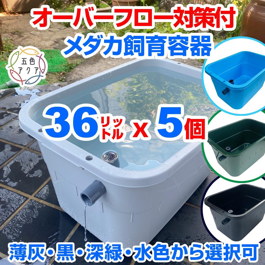 メダカ飼育容器オーバーフロー加工済プラ舟80L 2個セット トロ舟