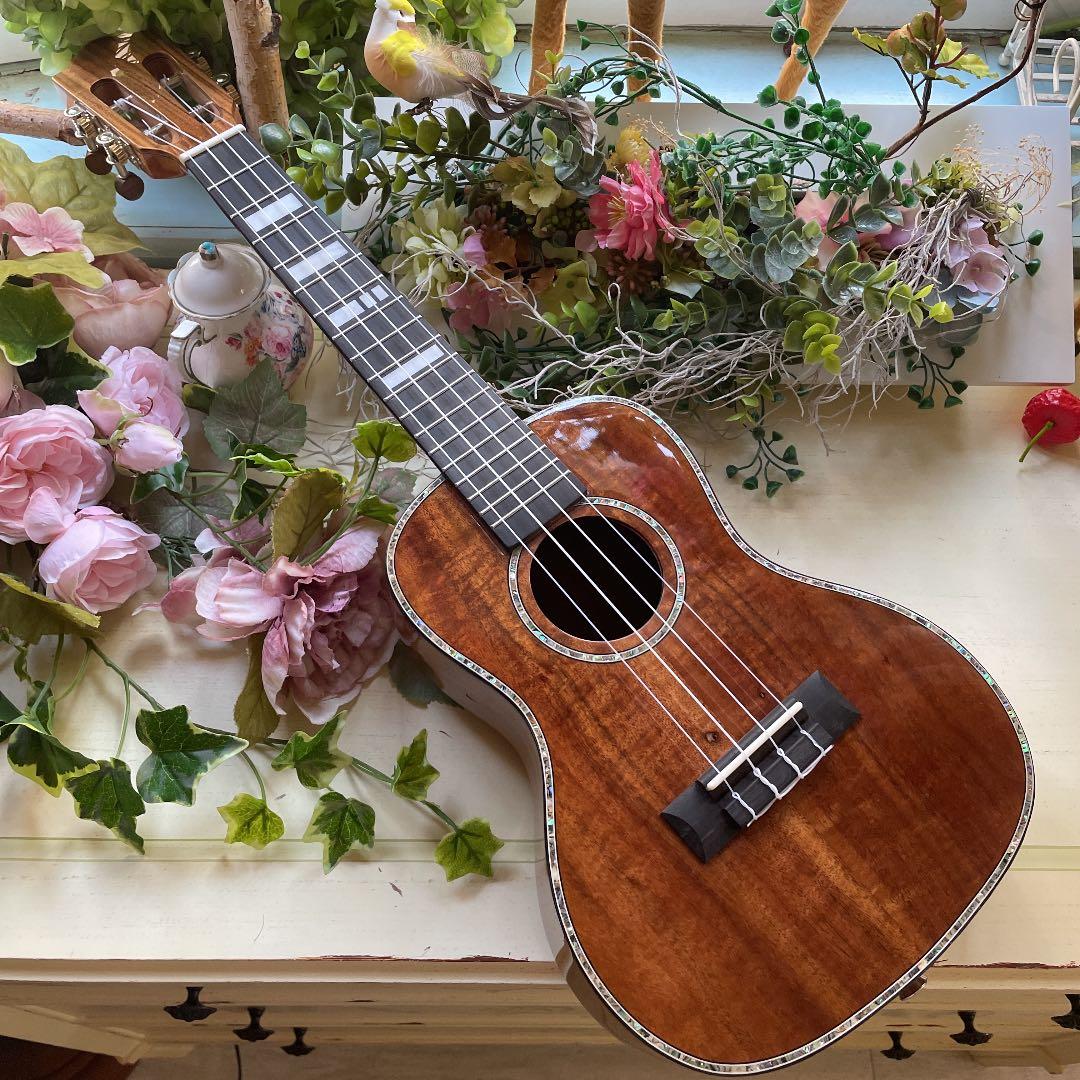 清時代 寿山石印 彭城徐州古山水文印 印文【彭城】 篆刻印鑑 (F-235)