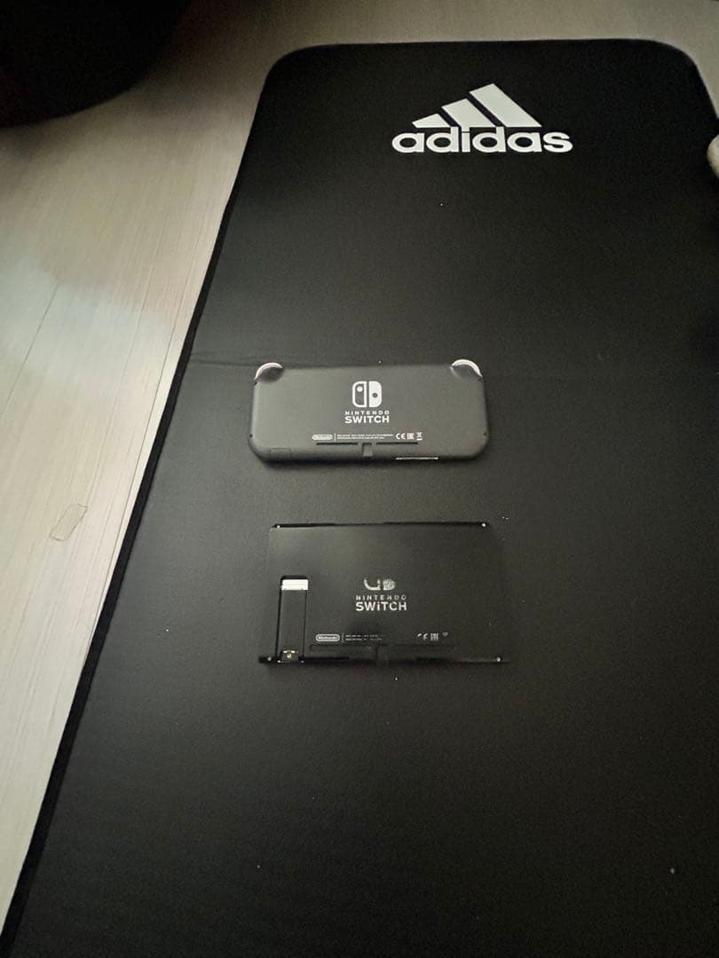 Nintendo Switch Lite & 本体セット