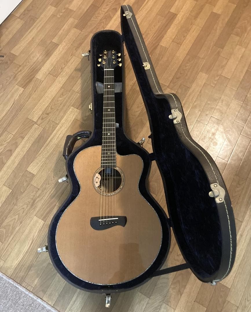 TACOMA ECR38C L.R.Baggs Dual Source　Char