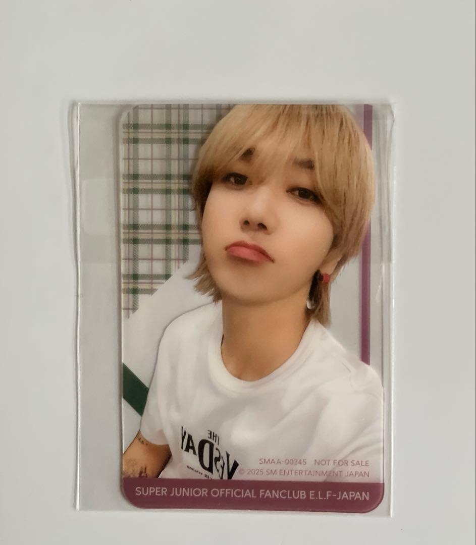 Super junior ELF JAPAN 入会特典 イェソン トレカ - メルカリ