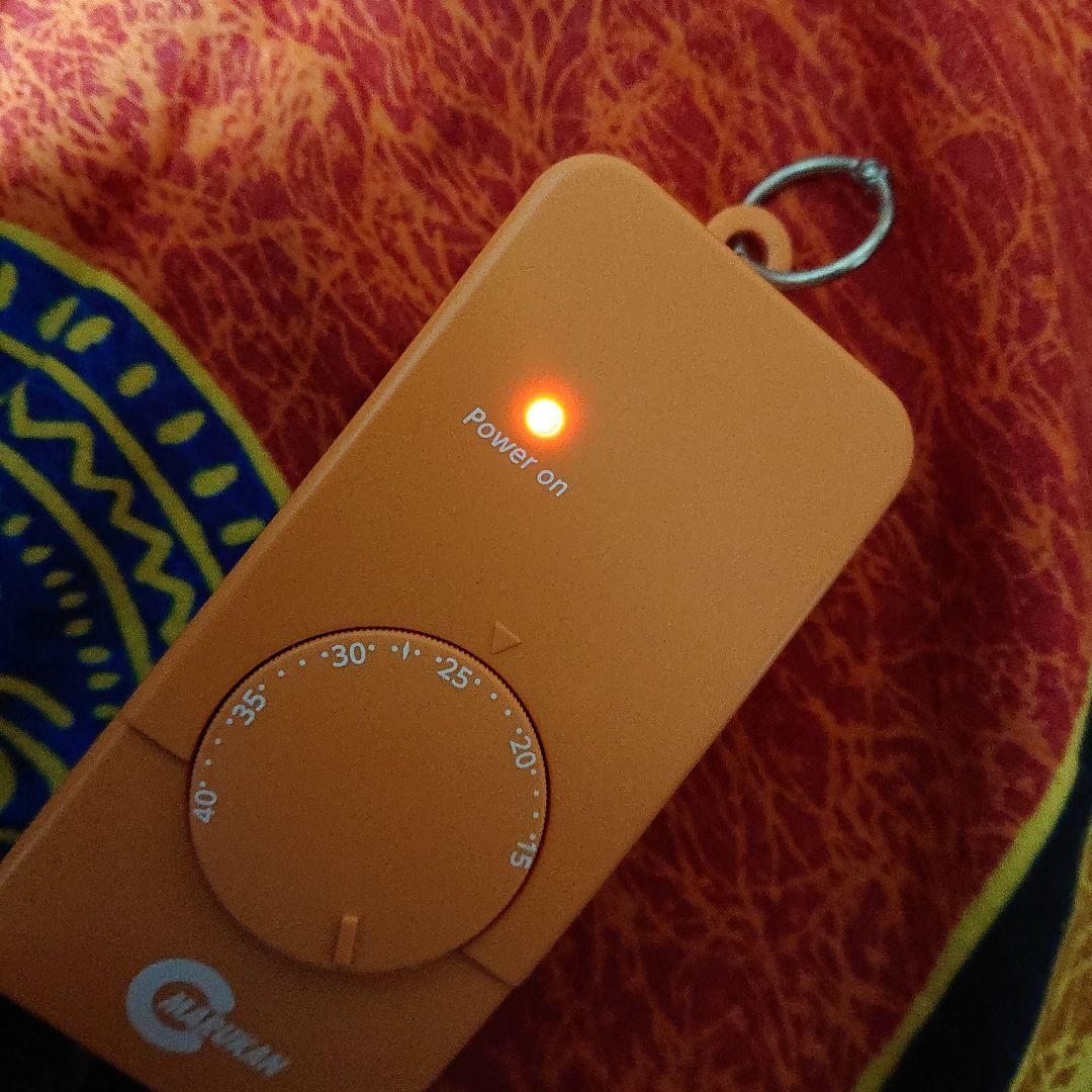 小動物用ヒーター 100W ミニマルサーモ サーモスタットセット 鳥