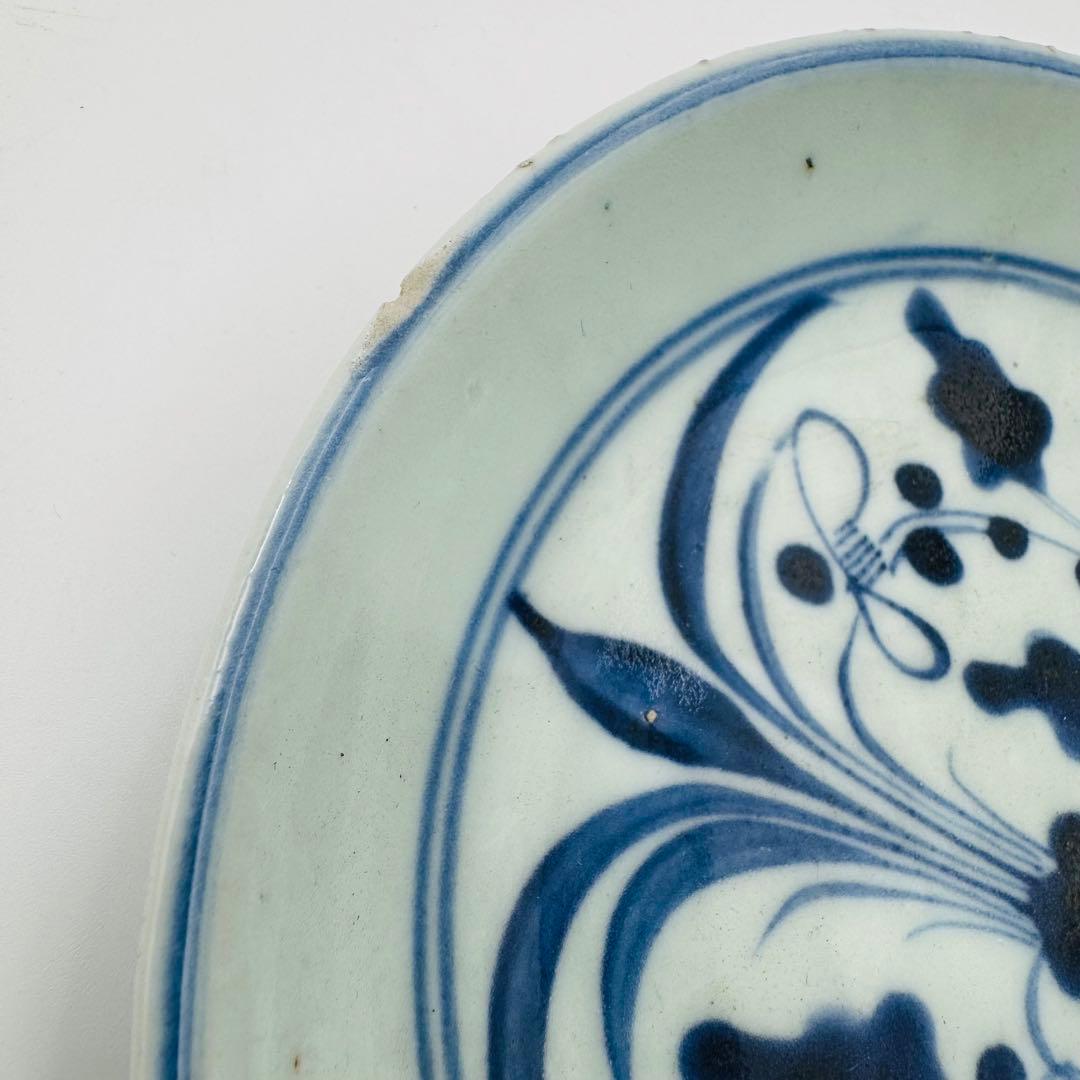 明治 染付伊万里焼物皿 中皿 5客】時代 骨董 アンティーク