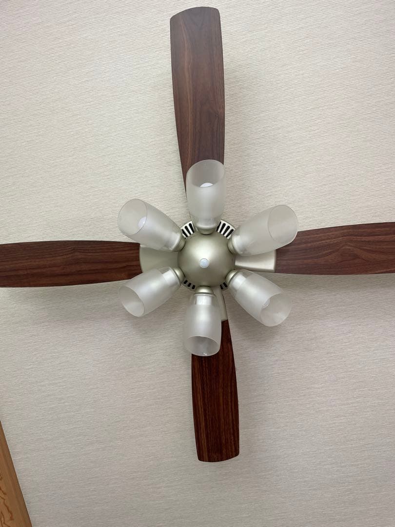 大光電機シーリングファン 電球色2700K