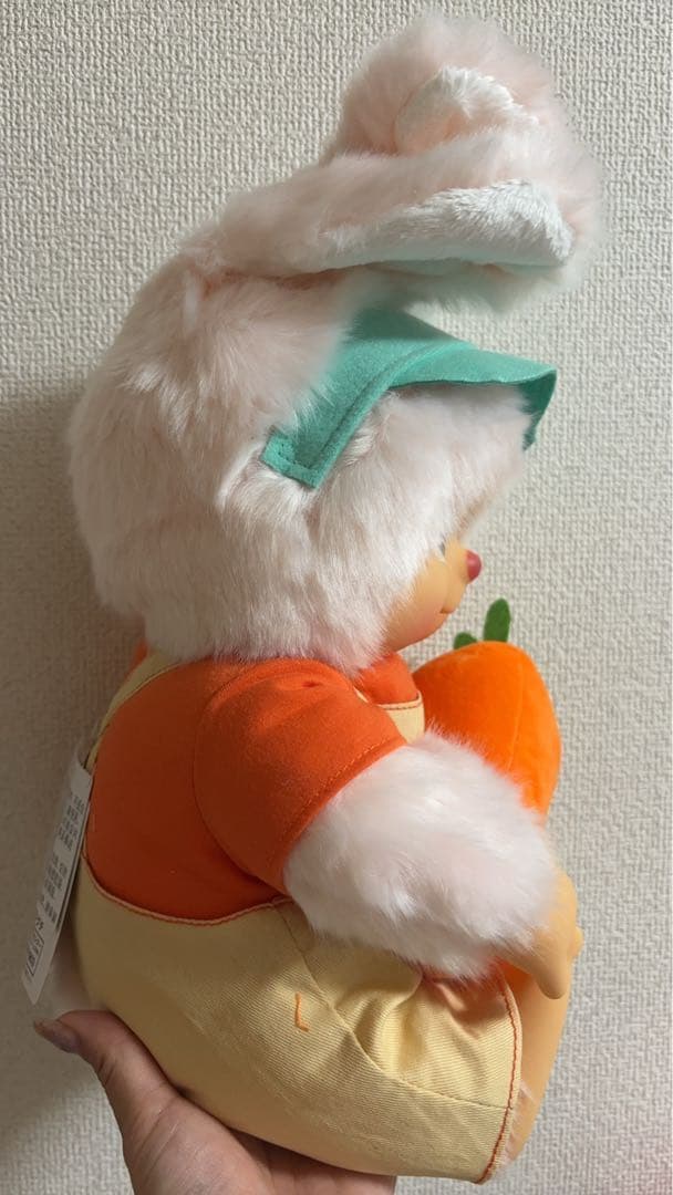 希少！Mon Mon Farm ベジタブル チムたん L