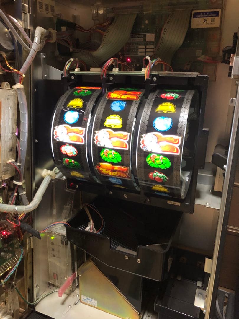 パチスロ実機 龍娘(ドラゴンギャル)ルーと伝説の黄金龍 ドラゴンギャル