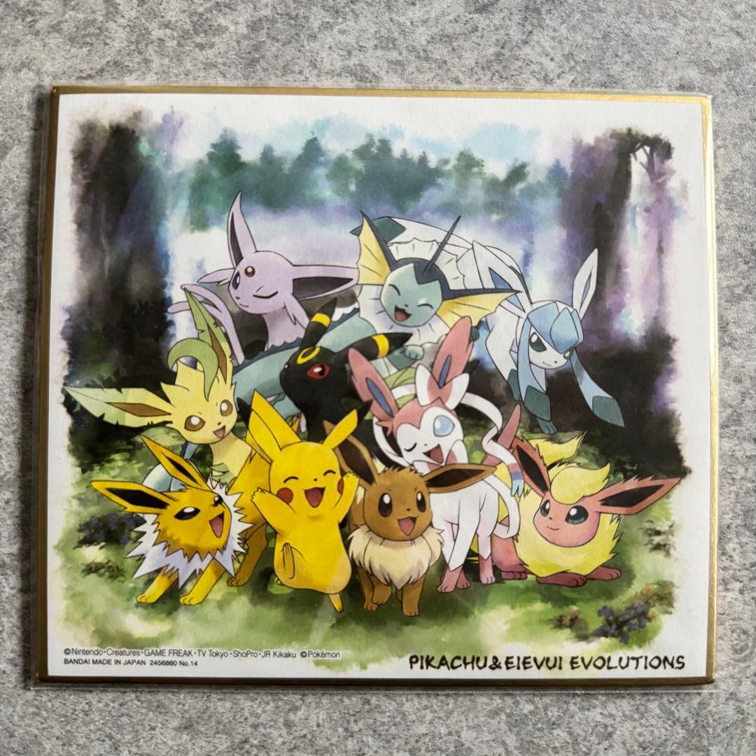 ポケモン 色紙 ART ピカチュウ ミュウ ミュウツー ブイズ