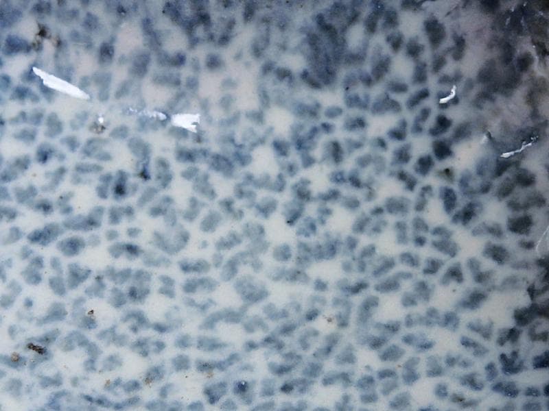 古伊万里　染付　型刷印判　氷裂紋の図　変形皿　江戸期　E655AS-fbsu