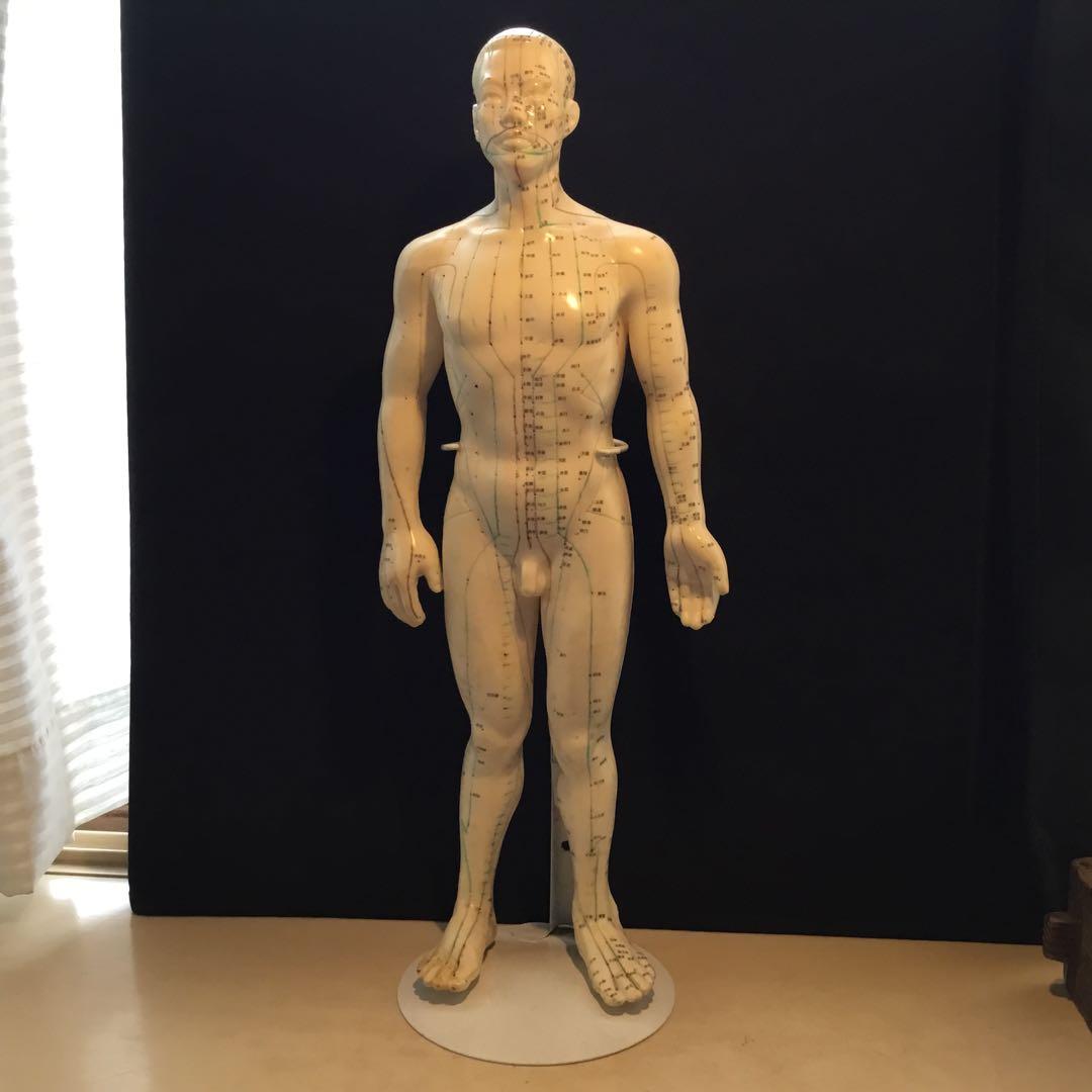 鍼灸経穴人体模型 コンプリート 中国鍼灸男性人体模型 耳 足 手