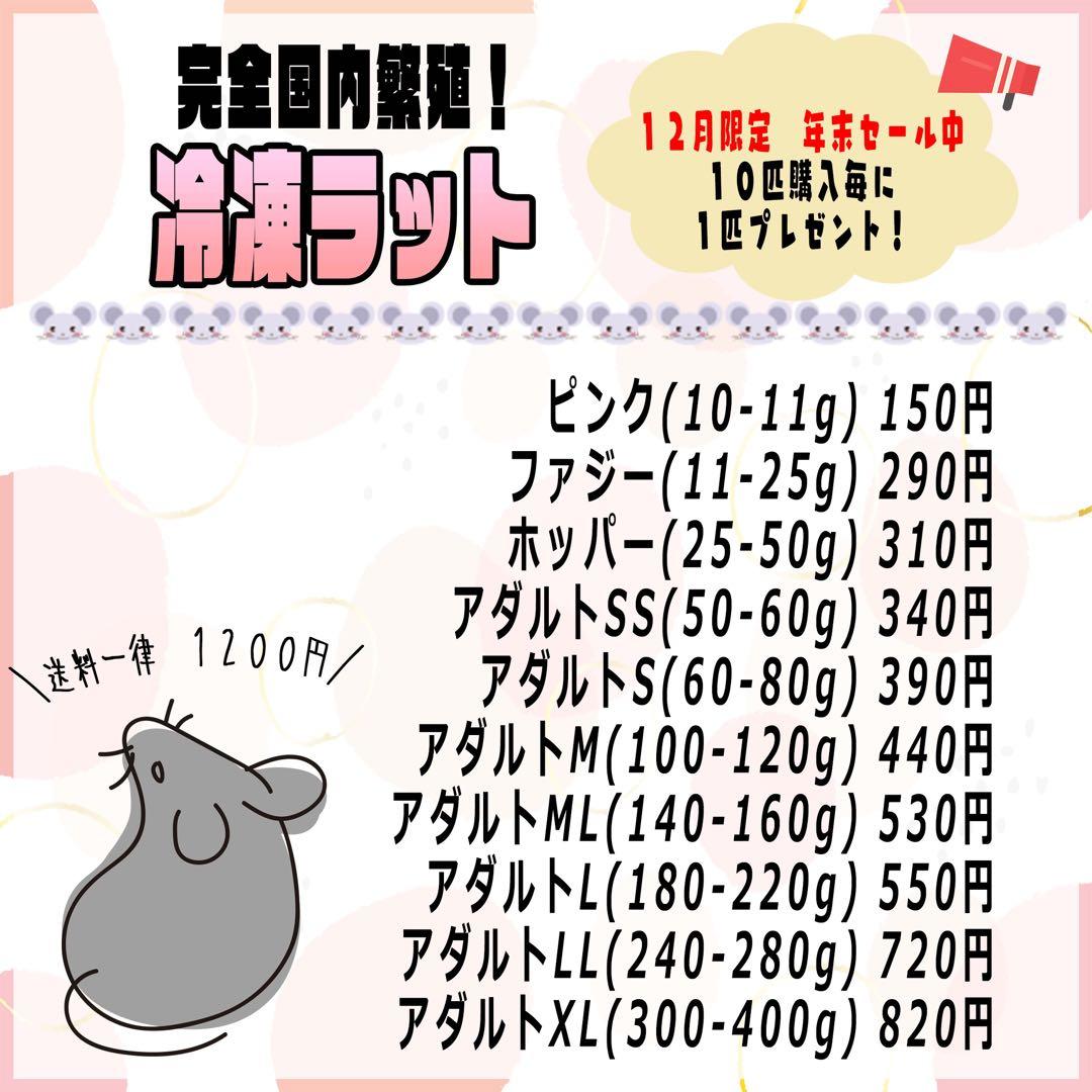 冷凍ラット アダルトLL 10匹 ＋おまけ1匹