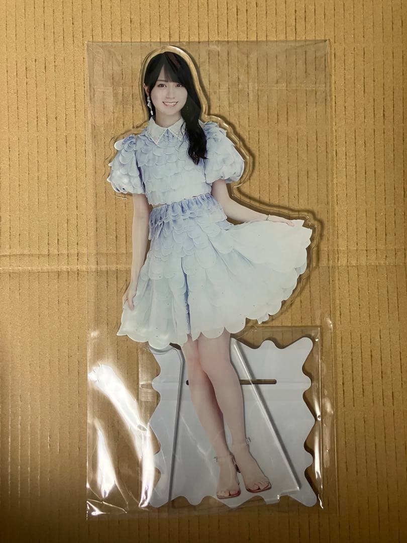 乃木坂46 lucky bag BIGアクリルスタンド賀喜遥香 賀喜遥香 福袋 BIG
