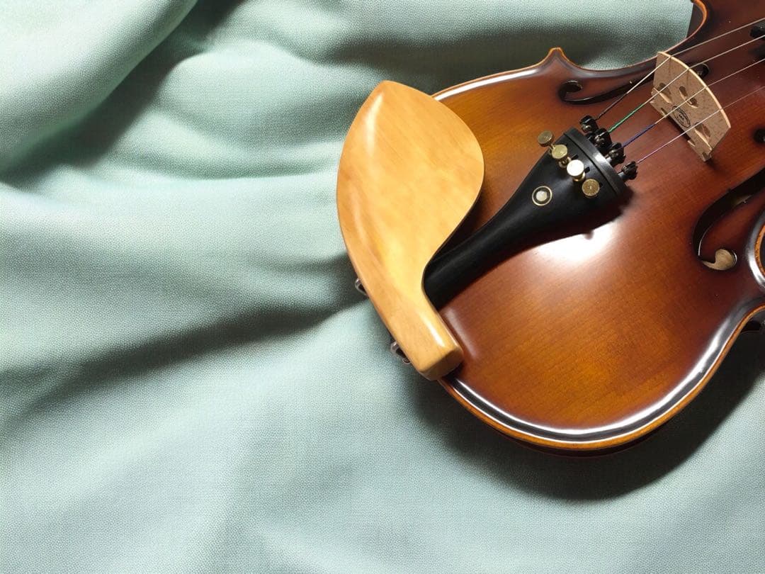 日本産柘植　ボックス　クローソン　セミヒル