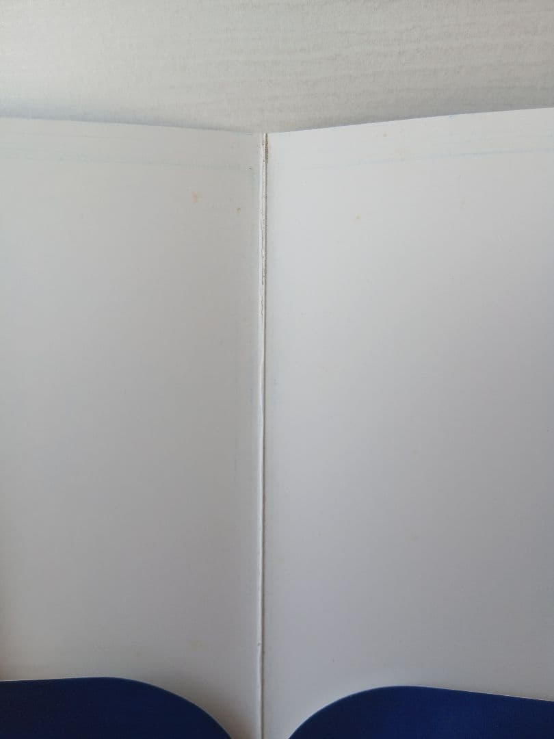 【希少品】ヴァンパイアセイヴァーポストカードセット 紙ケース付き