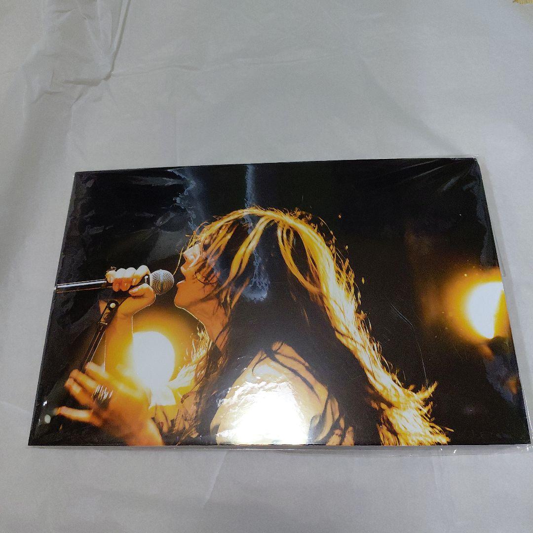 スーパービーバー 渋谷龍太 パネル展