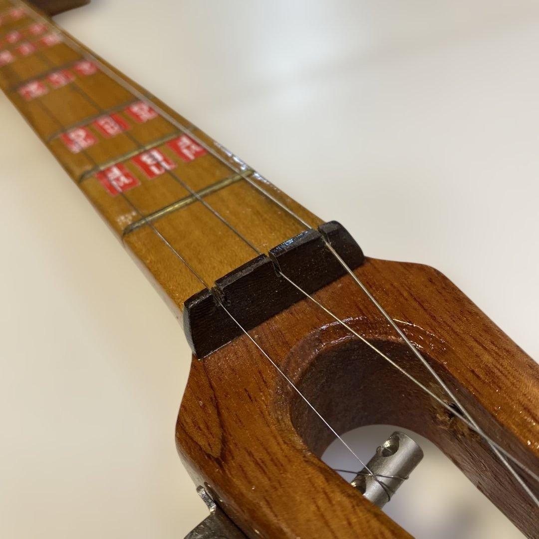 タイ 伝統楽器 エレクトリック ピン 三弦 バンコク 民俗楽器 Thai 未