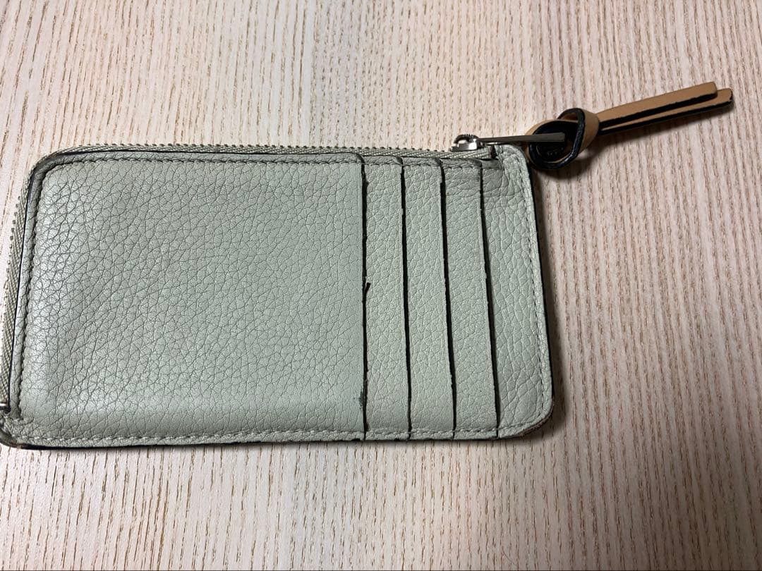 ロエベ　フラグメントケース