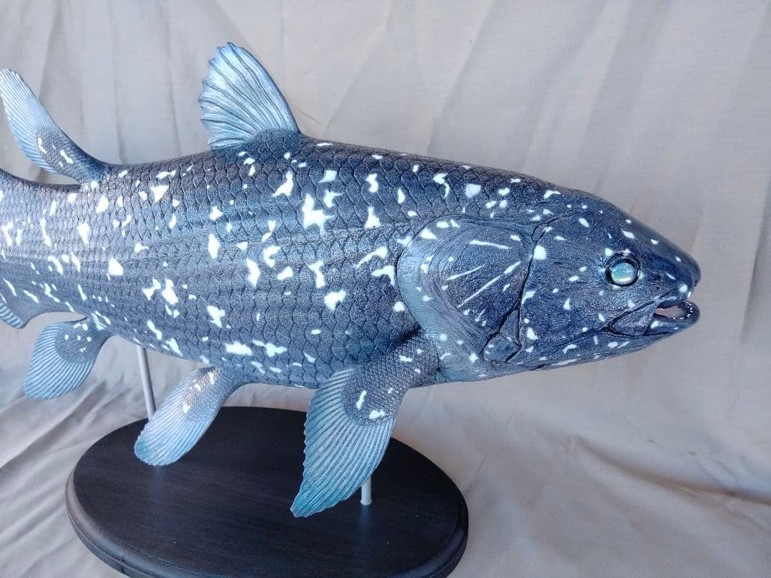 ハンドメイド 61cmシーラカンス フィギュア レプリカ 化石魚 古代魚