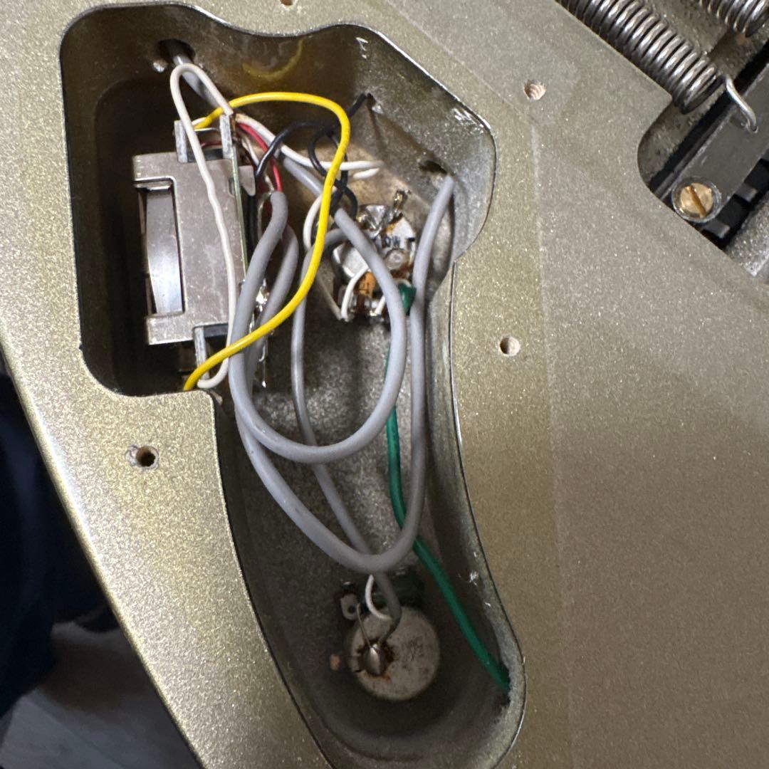 アイバニーズ　フジゲン製