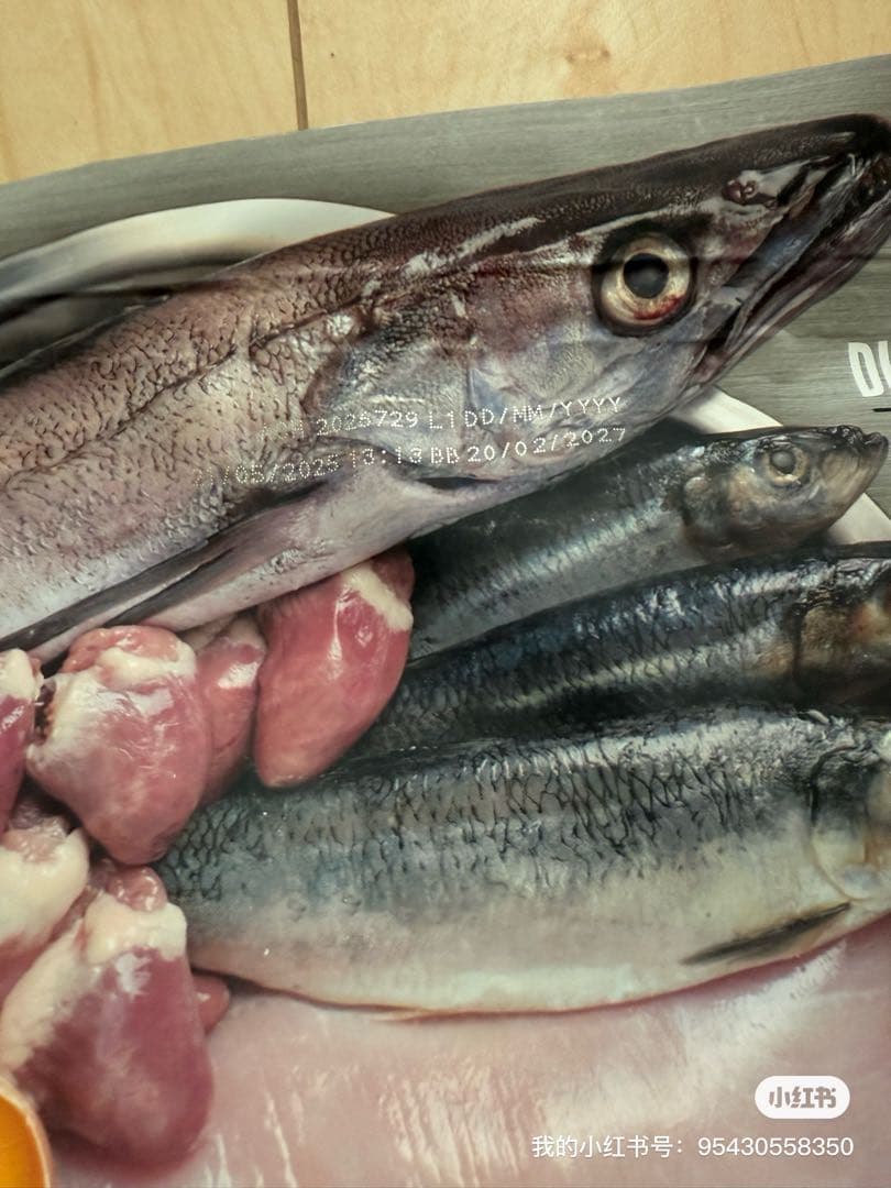 Orijen Original Cat 5.4kg（フェレット、猫用）