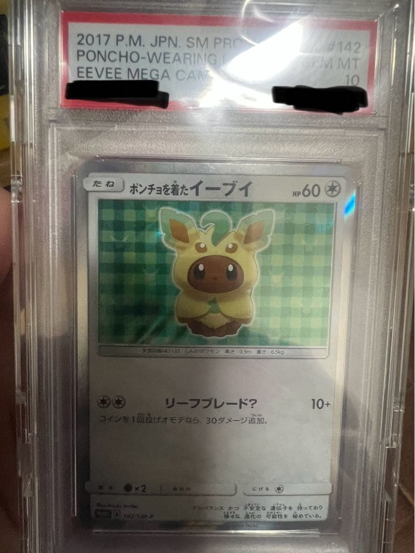 ポンチョを着たイーブイプロモPSA10