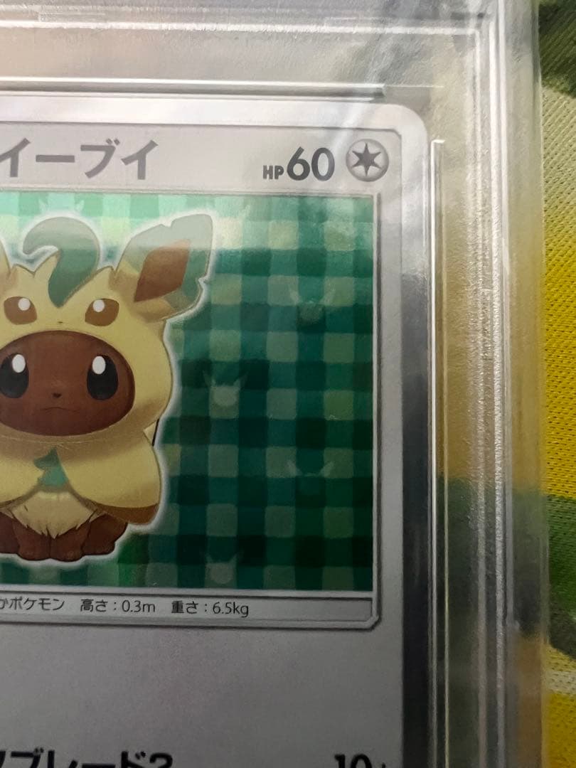 ポンチョを着たイーブイプロモPSA10