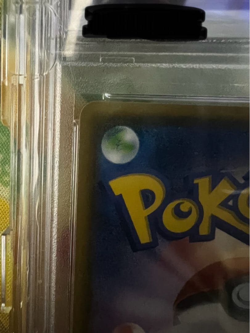 ポンチョを着たイーブイプロモPSA10