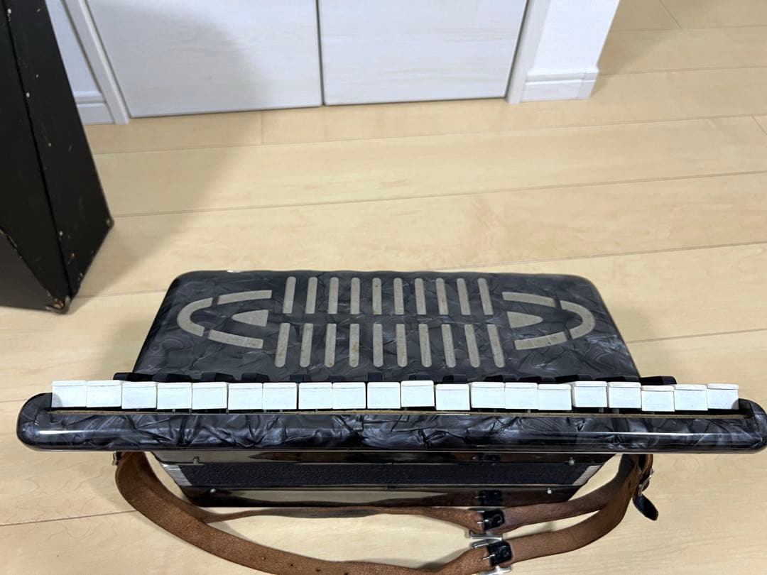 希少】トンボ No.241 アコーディオン - メルカリ