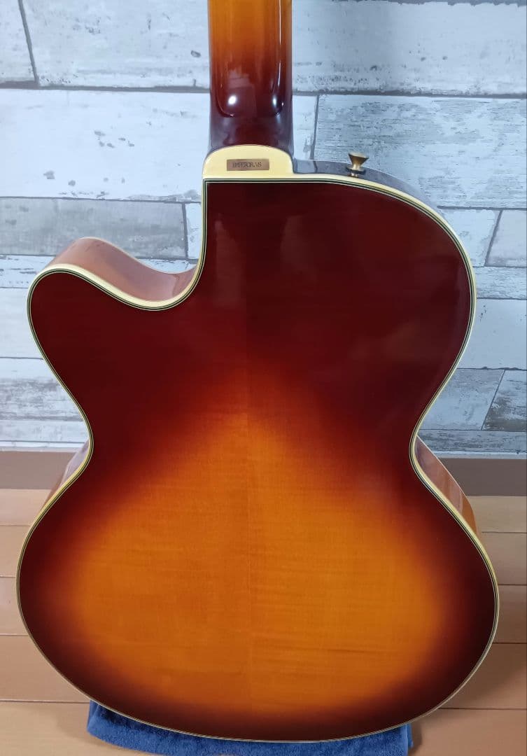 エピフォン フルアコ ジョーパス emperor II ビグスビー ハードケース