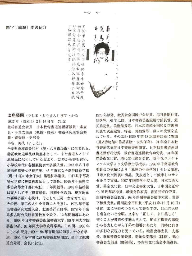 津島藤園の書道作品 「気軸慧空教」 木製フレーム