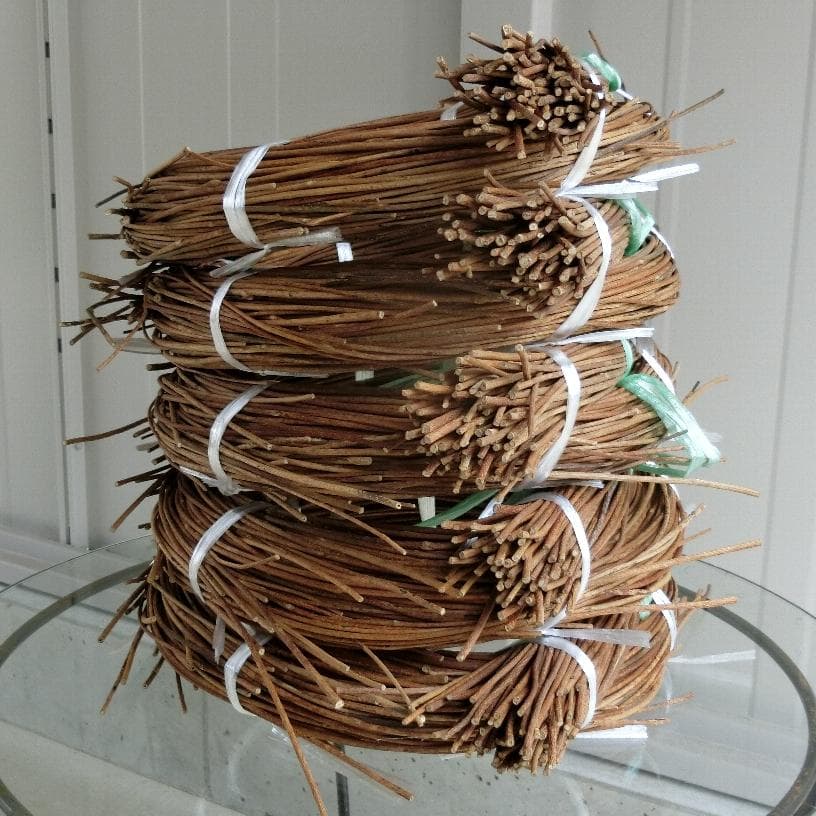 みっくん　青森岩木山採取　あけび蔓　150cm～ 5kg