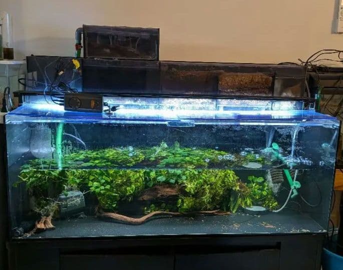 綺麗な1200×450×450　4面ブラックアクリル水槽 フルセットです！！ オーダーメイドアクリル水槽】エサ穴付き4面ブラック水槽