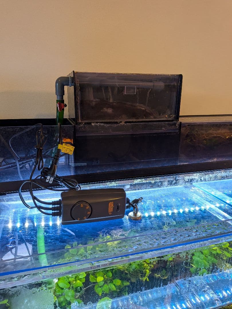 1200×450×4504面ブラックアクリル水槽 フルセットです