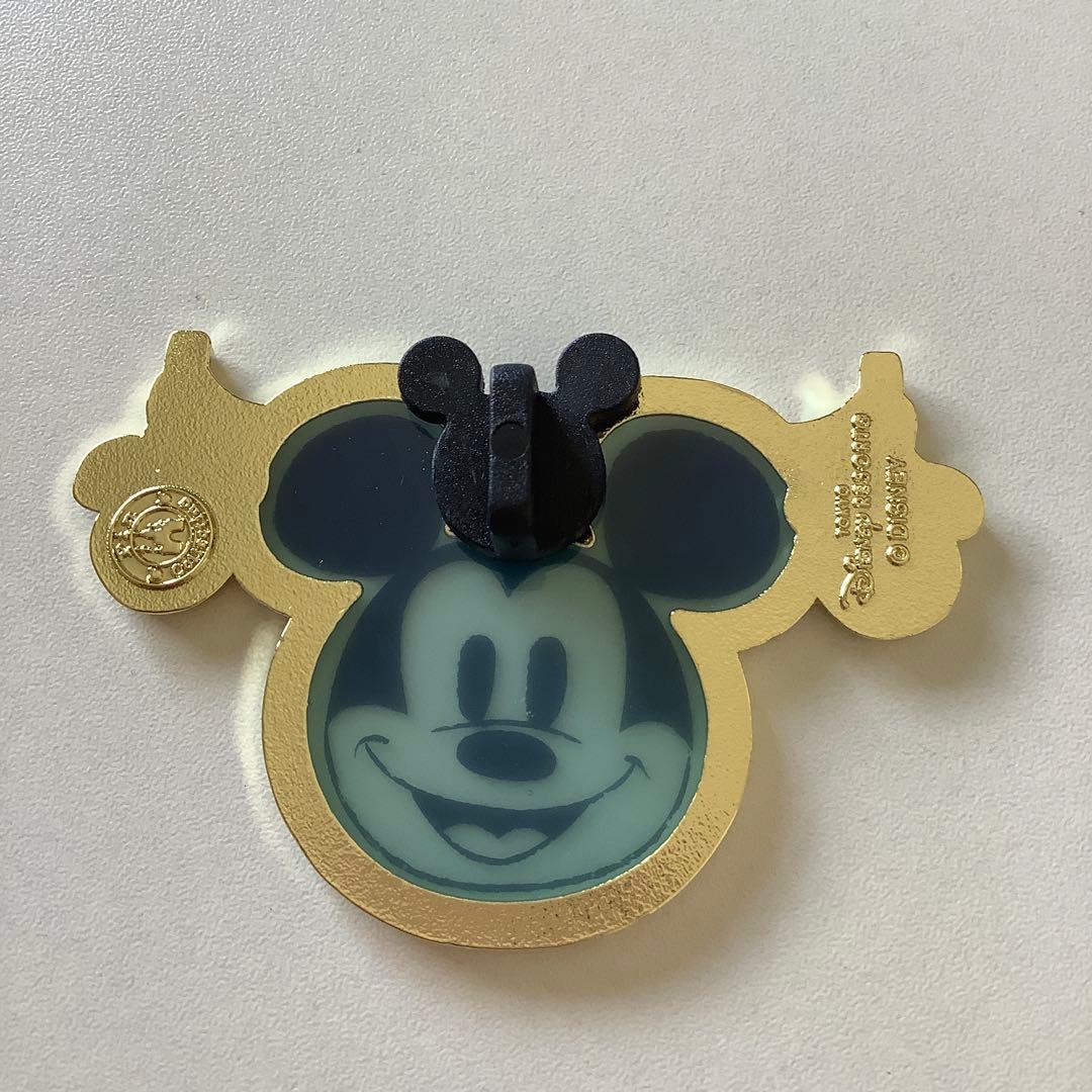 ディズニー ピンコレクション ピンバッジ ディズニーリゾートライン