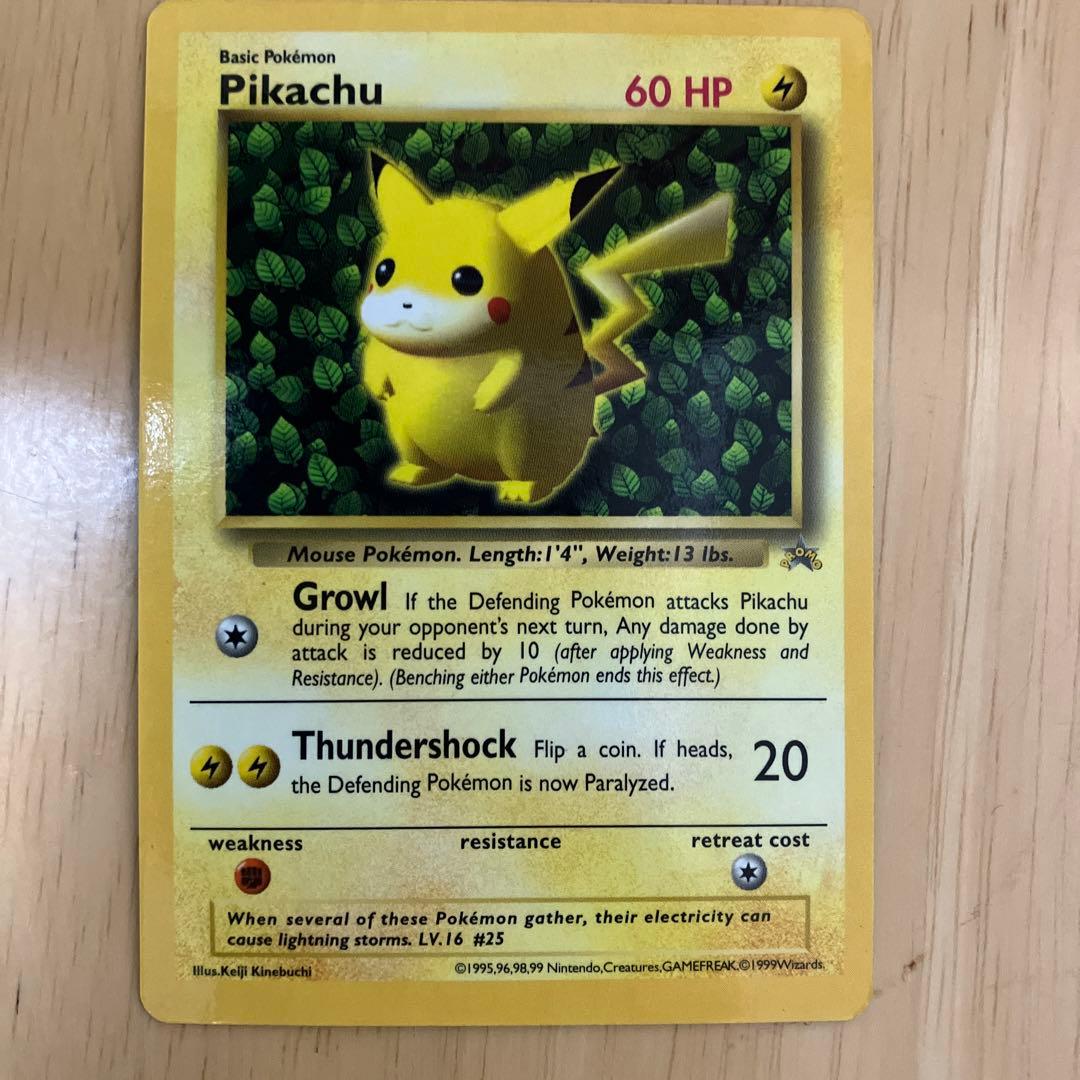 オパライズドシェル オパール 貝 巻貝 鉱物 標本 原石 シェルオパール