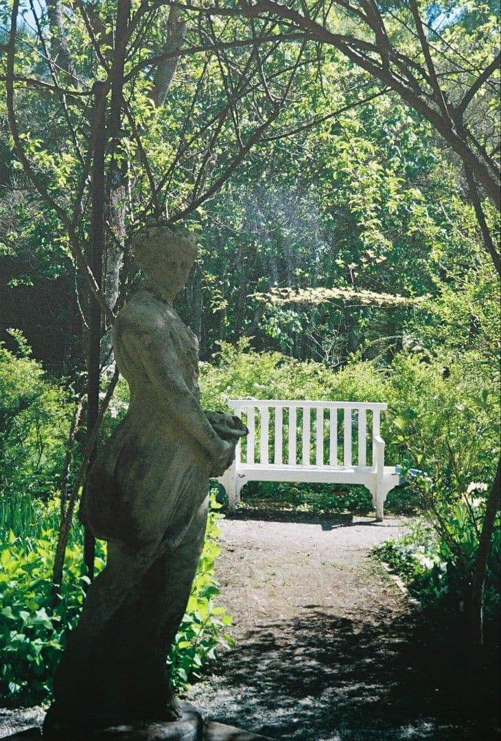 ☆美品・作例有☆ Canon demi EE17 露出計動作品 Canon Demi EE17