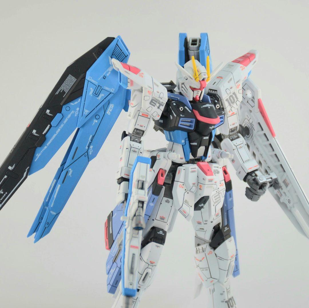 RG フリーダムガンダム 塗装 完成品 バンダイ ガンプラ 1/144
