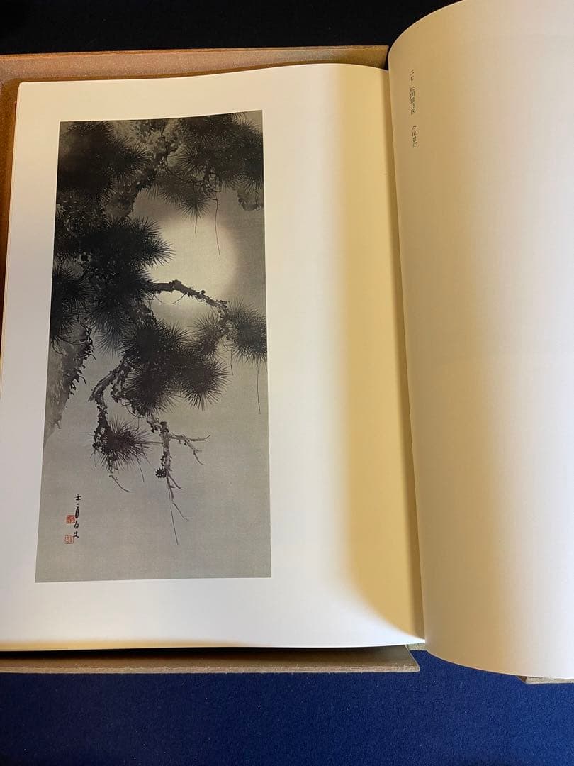 【墨研】ok0330 ◆豪華本2点まとめて 風景画・花鳥画◆美術画 日本画