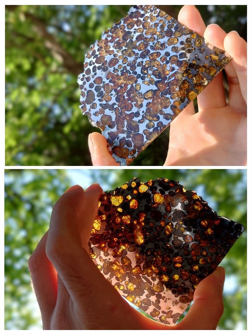 隕石スプリングウォーター パラサイト 91.5g❗ Springwater⭐⭐⭐